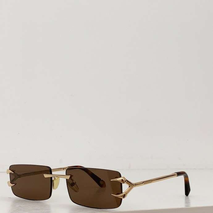 Picture of Roberto Cavalli Sunglasses _SKUfw53957875fw